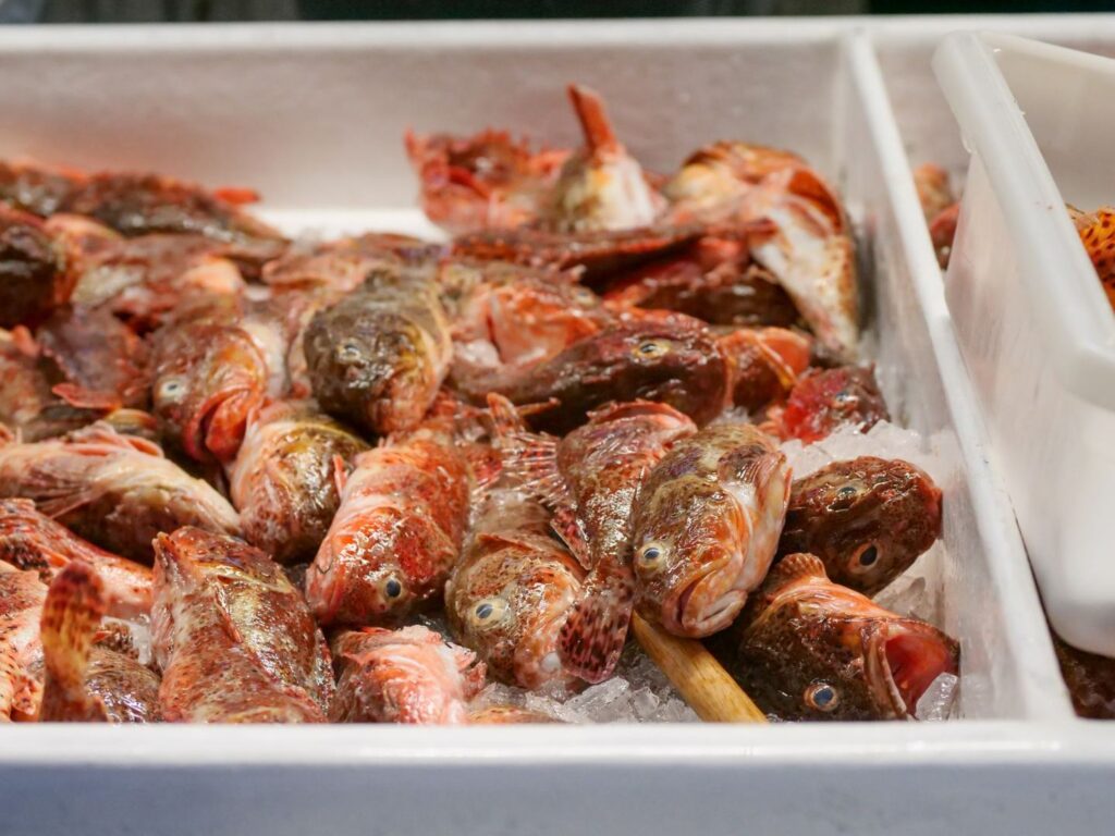 Cajas de pescado fresco en un mercado